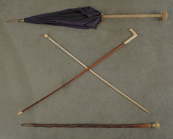 Three ivory and bone tipped canes