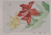 THREE JAPANESE WOODBLOCK PRINT