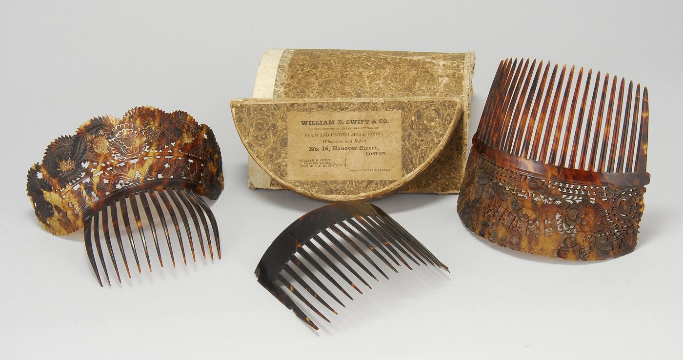 THREE LARGE SHELL HAIR COMBSOne
