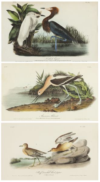 Three Lithographs after John