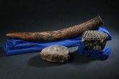THREE MAMMOTH FOSSILS Pleistoc