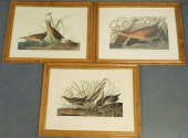 Three maple framed and matted