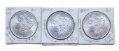 THREE MINTSTATE 1884-O MORGAN