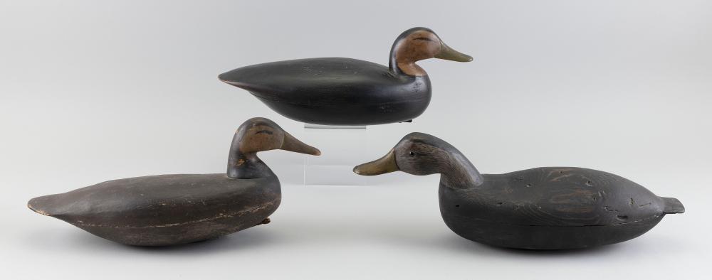THREE NEW JERSEY BLACK DUCK