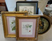 THREE ORNITHOLOGICAL PRINTS, P