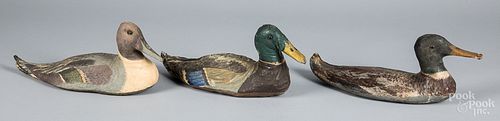 THREE PAINTED CANVAS DUCK DECOYS,