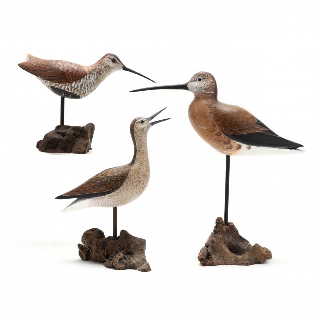 THREE PAINTED SHOREBIRDS Well