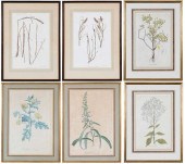 THREE PAIRS OF FRAMED BOTANICA