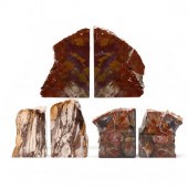 THREE PAIRS OF PETRIFIED WOOD