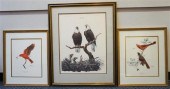THREE PHOTOPRINTS OF BIRDS, IN