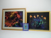 Three piece lot including a fr