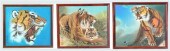 THREE PORTRAITS OF TIGERS (CHI