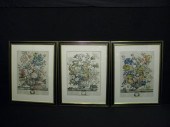 Three Robert Furber hand-color