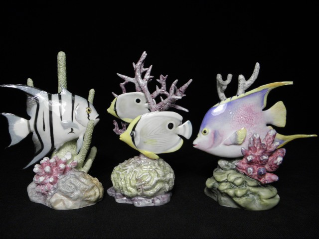 Three Royal Worcester porcelain