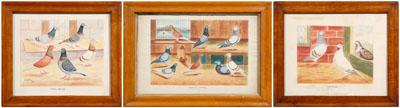 Three S. H. Shaw pigeon