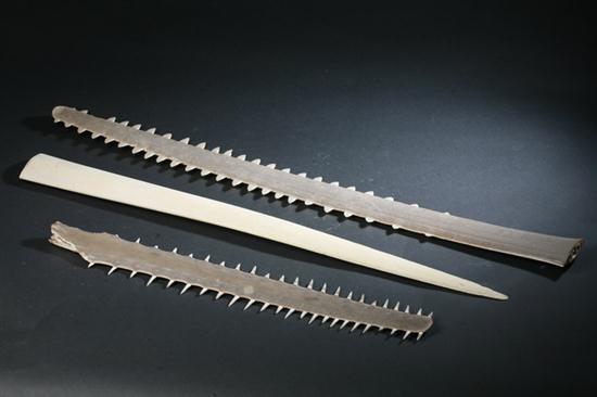 THREE SAWFISH BILLS. Including