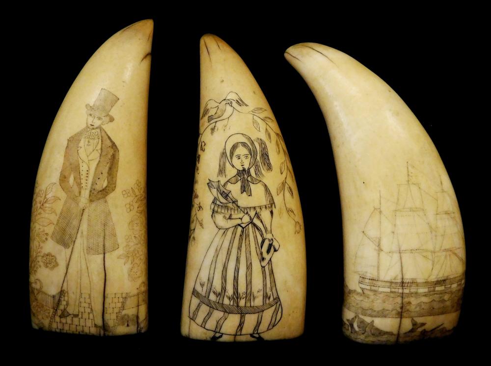 THREE SCRIMSHAW DECORATED SPERM