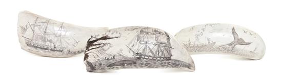Three Scrimshaw Whale's Teeth