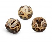 THREE SEPTARIAN NODULESThree s