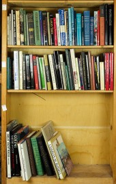 THREE SHELVES OF BOOKS MOSTLY