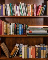 THREE SHELVES OF BOOKS ON ASIA