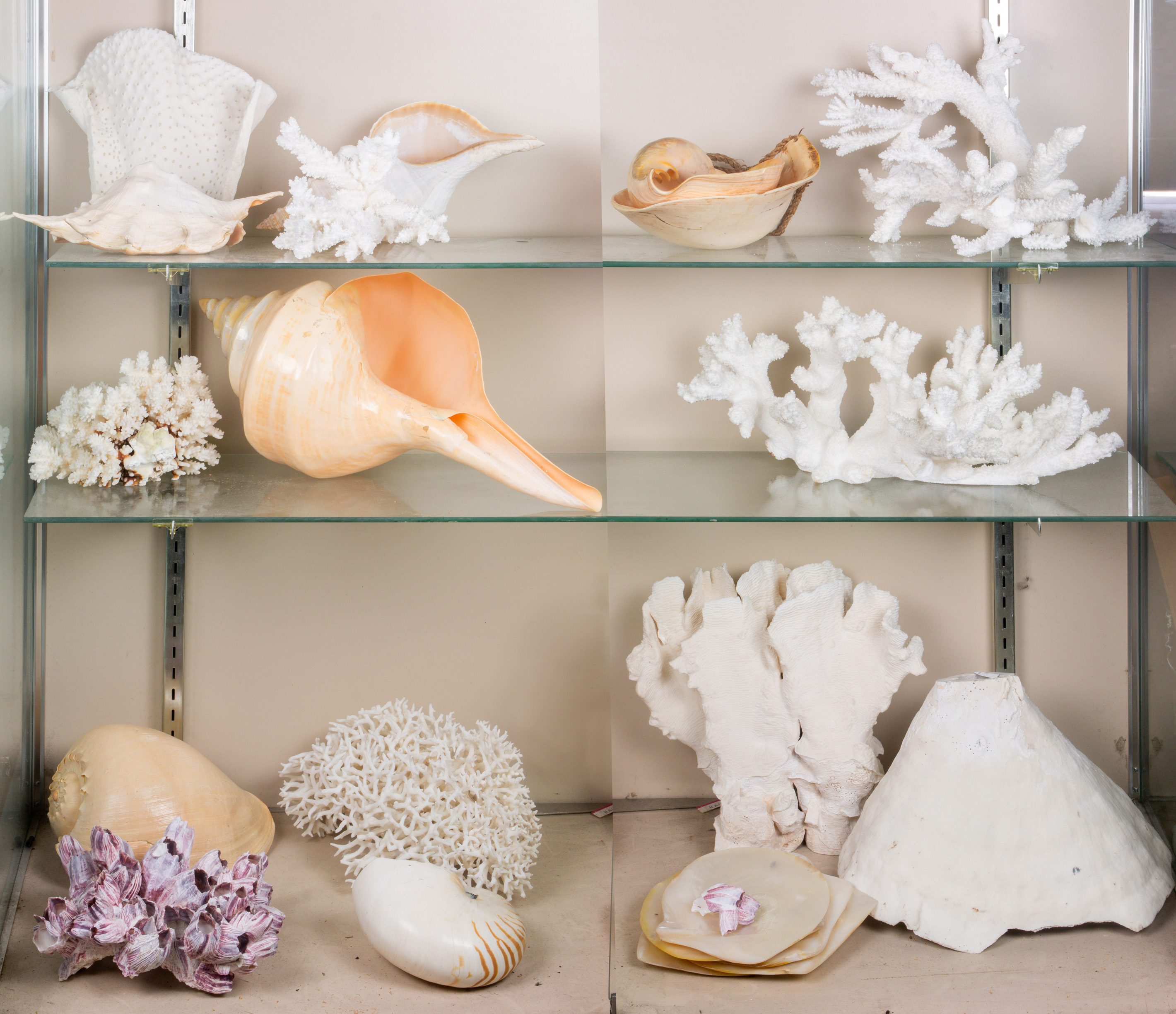 THREE SHELVES OF DECORATIVE