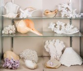 THREE SHELVES OF DECORATIVE SH