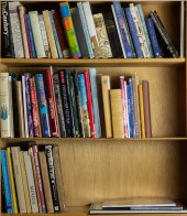 THREE SHELVES OF MAINLY ART BO