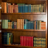 THREE SHELVES OF NOVELS Three