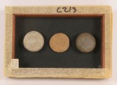 Three small discoidals found o