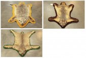 THREE SMALL NORTH AMERICAN ANI