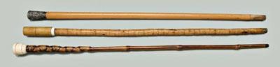 Three specialty canes: one with