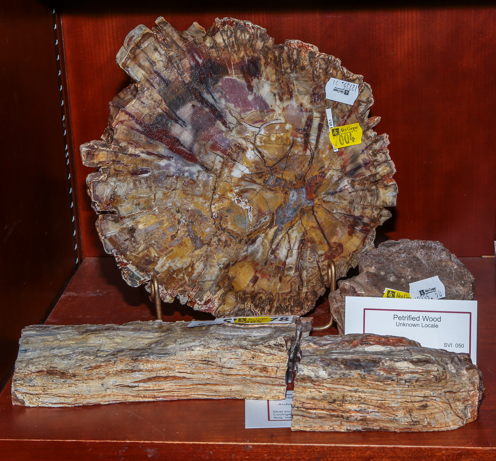 THREE SPECIMENS OF PETRIFIED WOOD
