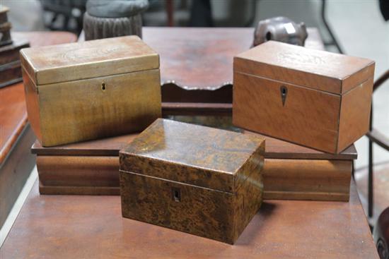 THREE TEA CADDIES. English  19th