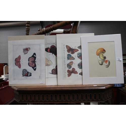 Three unframed coloured prints of