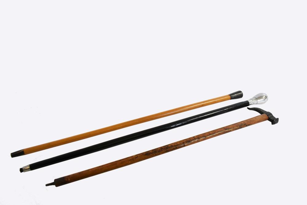 THREE VARIOUS WALKING STICKSThe