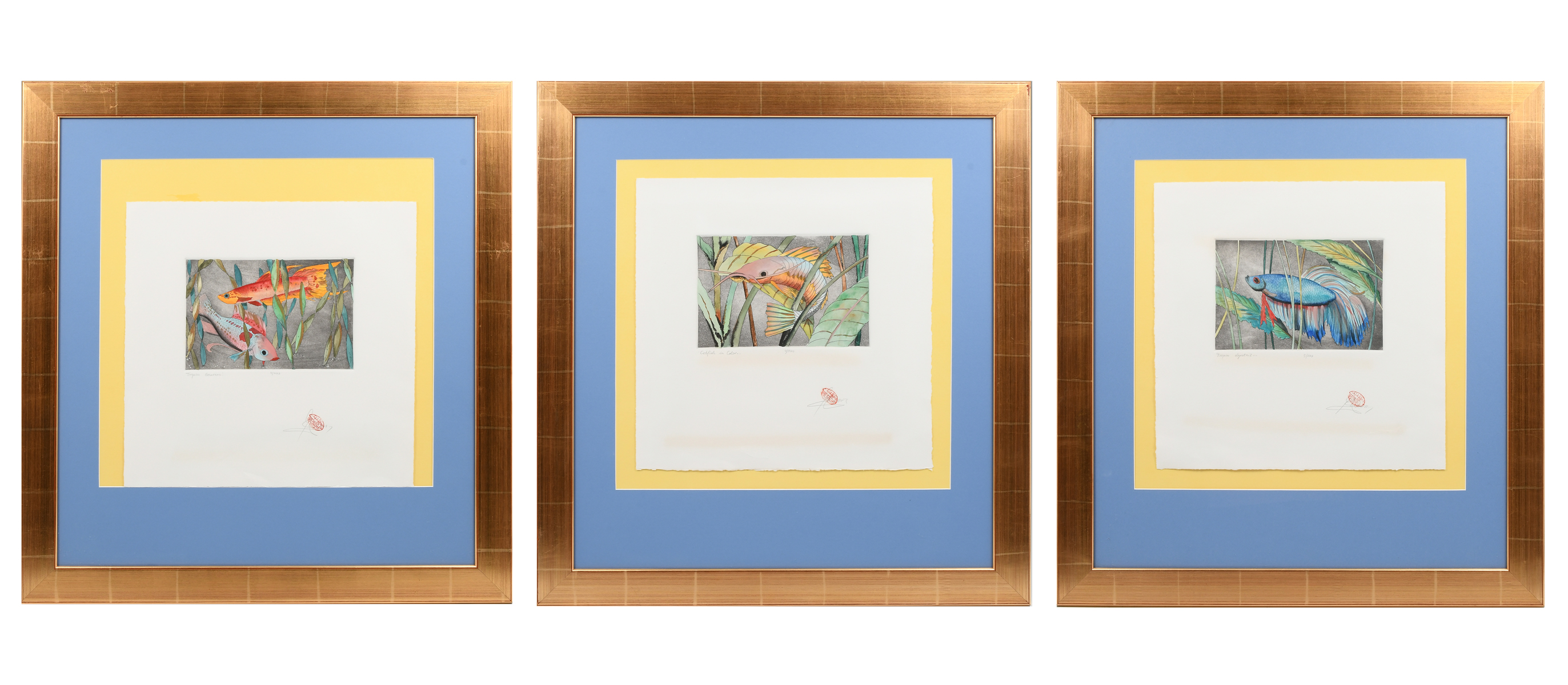 THREE VIBRANT TROPICAL FISH COLORED