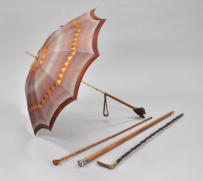 Three Walking Sticks and a