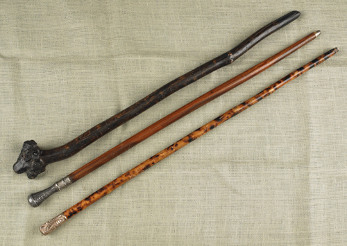 Three walking sticks late