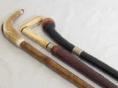 Three walking sticks one rusti