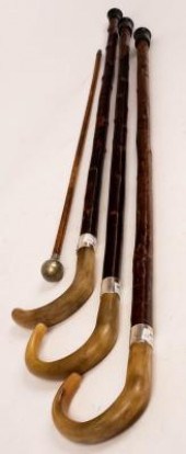 Three walking sticks with horn
