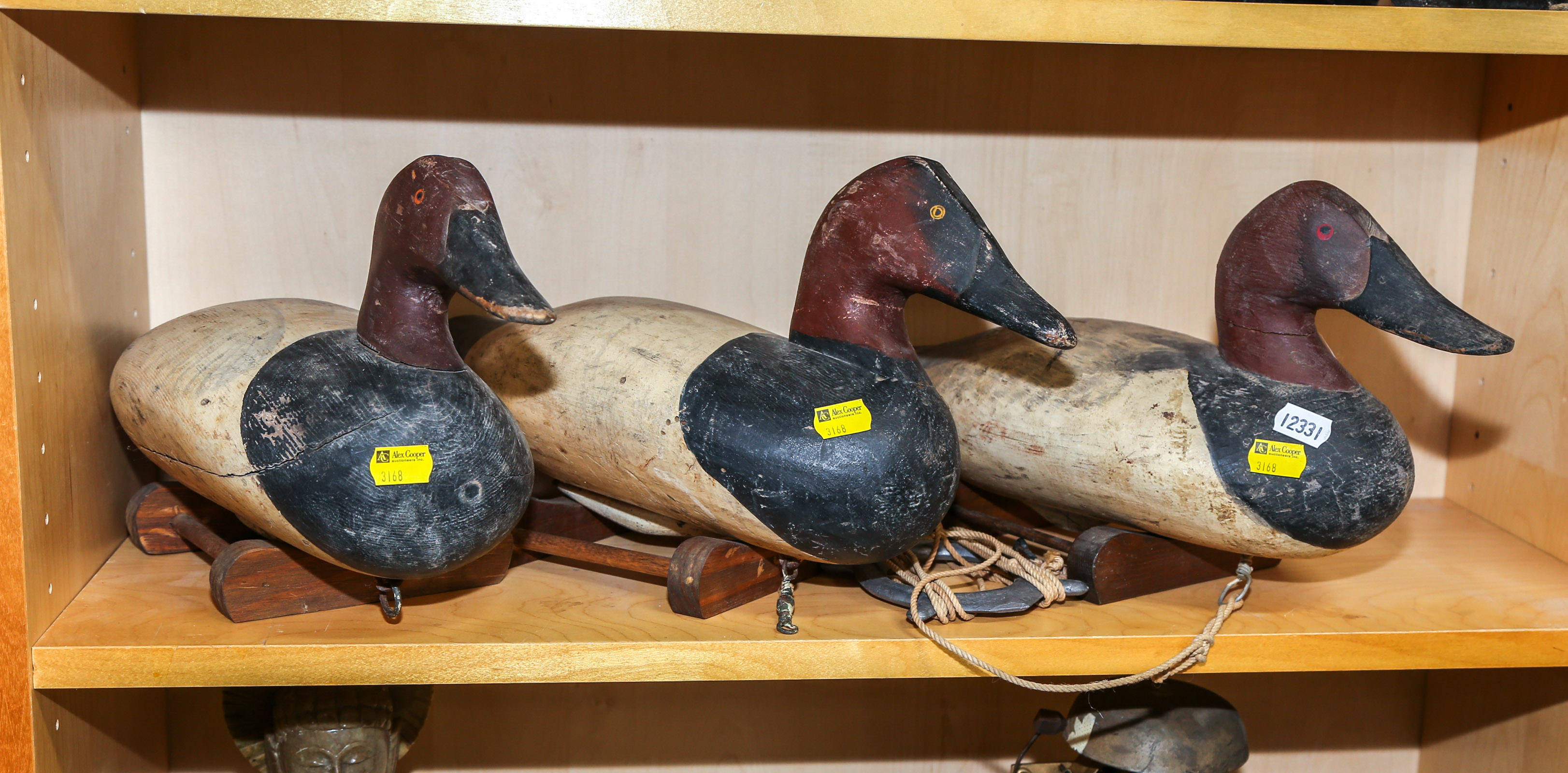 THREE WORKING CANVASBACK DUCK
