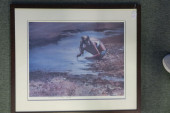 TIDE POOL PRINT BY BARCLAY SHE