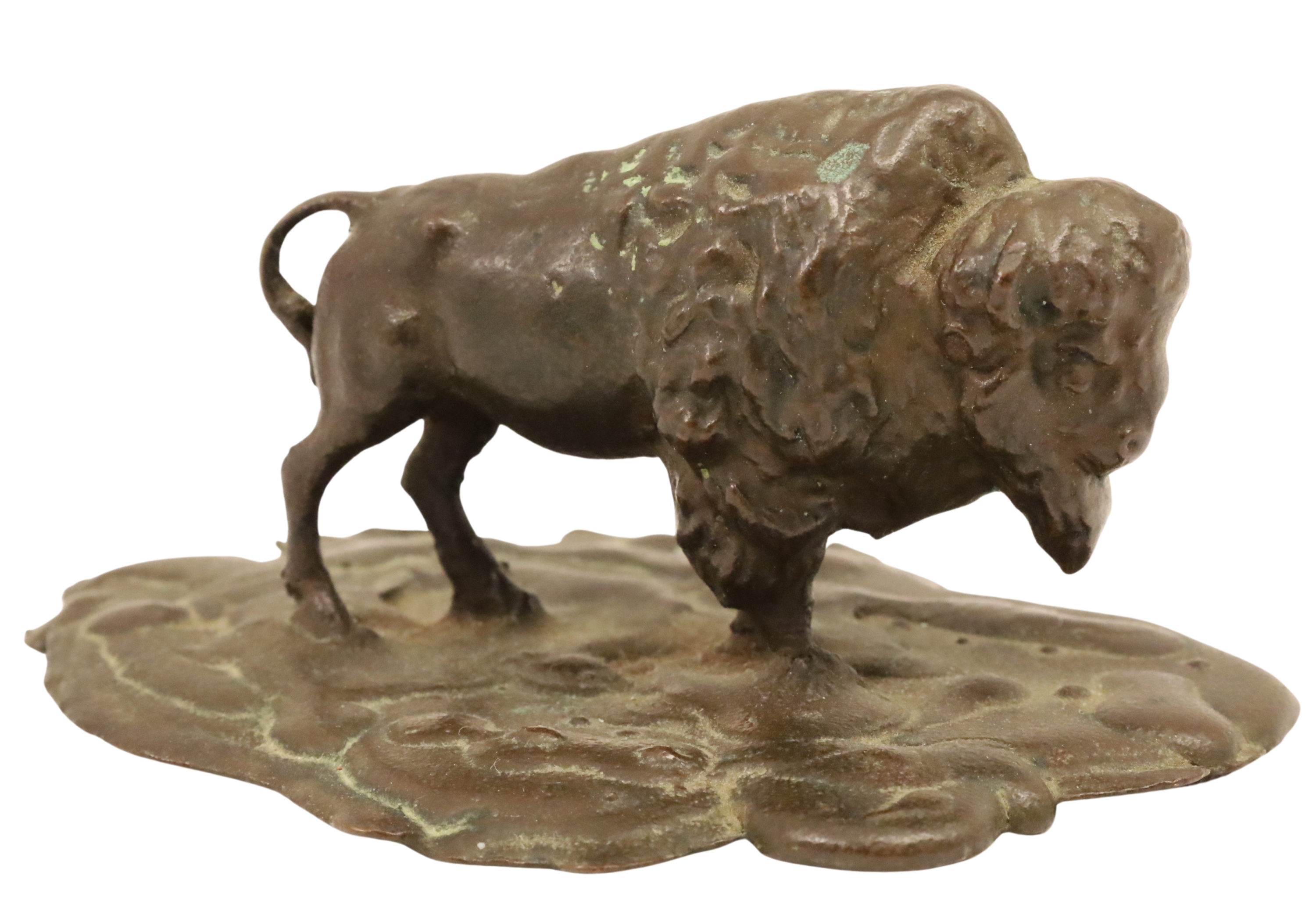TIFFANY BRONZE BUFFALO