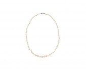 TIFFANY & CO. NATURAL PEARL NE