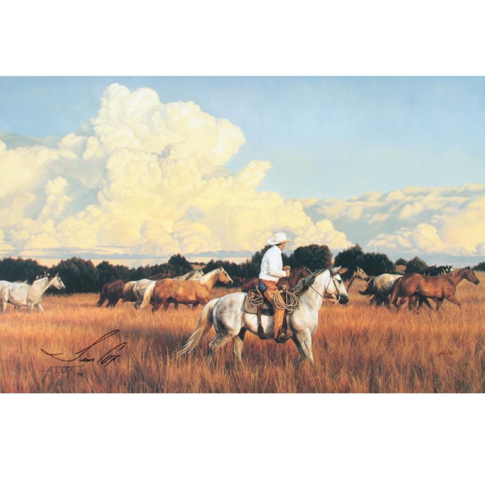 TIM (ALDEN TIMOTHY) COX, NEW MEXICO