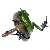 TIM FROGMAN COTTERILL BRONZE P