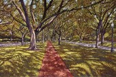 TIM SASKA (AMERICAN/TEXAS 1935