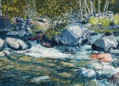 TIM SASKA "OAK CREEK: SUN SPLA