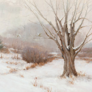 Timothy R. Thies (American,